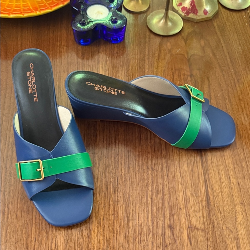 Charlotte Stone Teresa Blue and Green Mules with Buckle